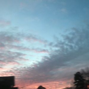 Meet your Posher, Olga